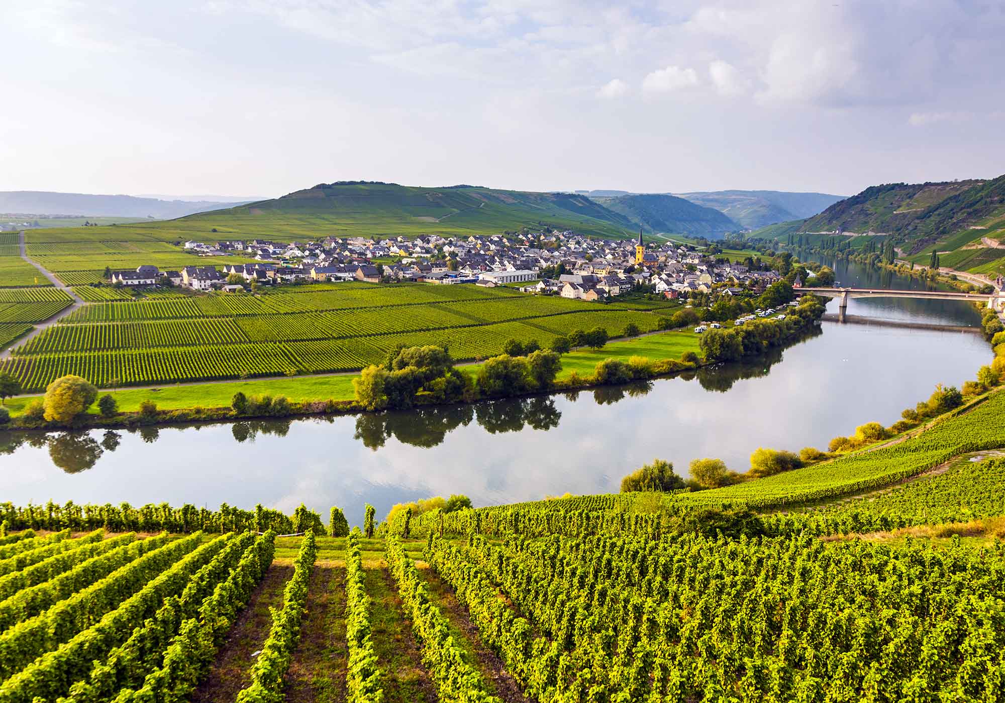 Les vignes de la Moselle luxembourgeoise